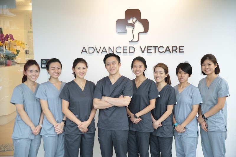 Advanced VetCare Veterinary Centre (Bedok) in Tampines