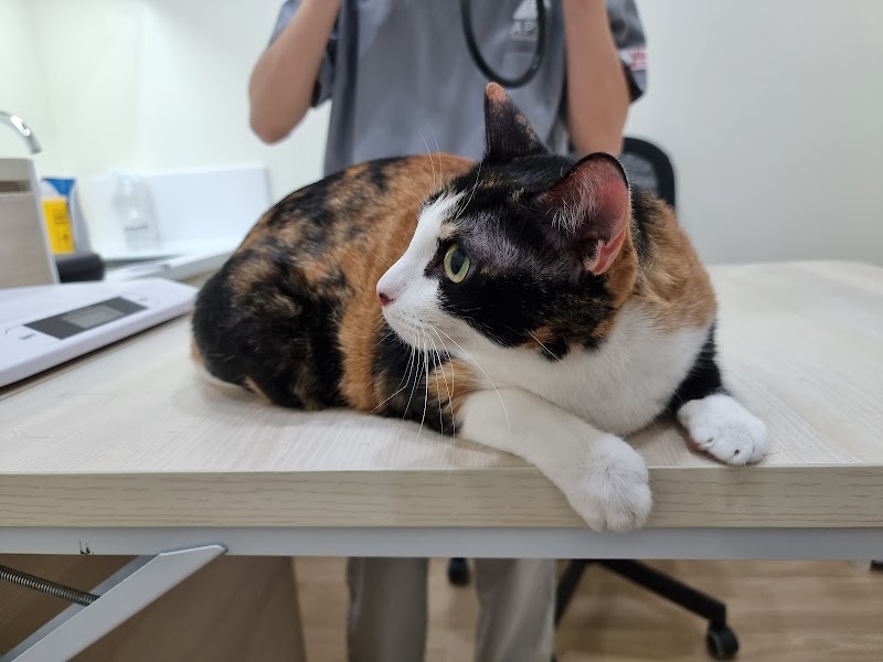 Apex Veterinary Clinic in Punggol