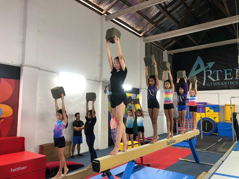 Artemis Gymnastics Academy in Iskandar Puteri