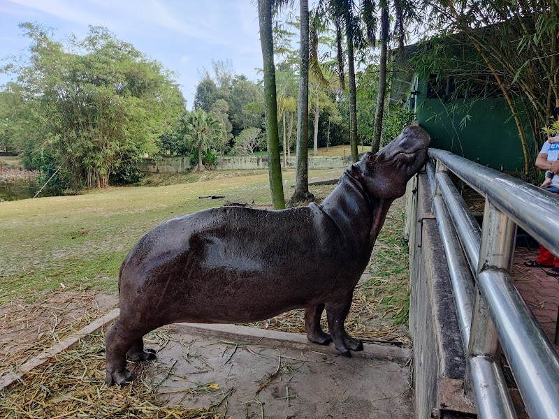 Aviary & Bunny Park @TBNSA in Dengkil