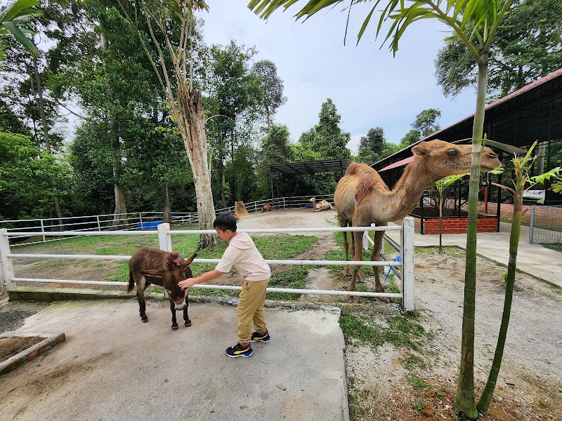 Aviary & Bunny Park @TBNSA in Puchong