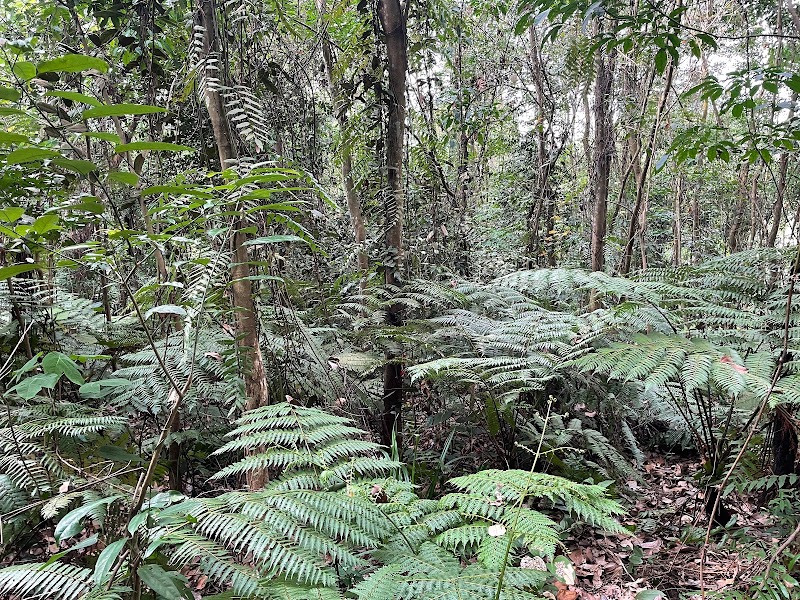 Bukit Batok Hillside Park in Bukit Batok