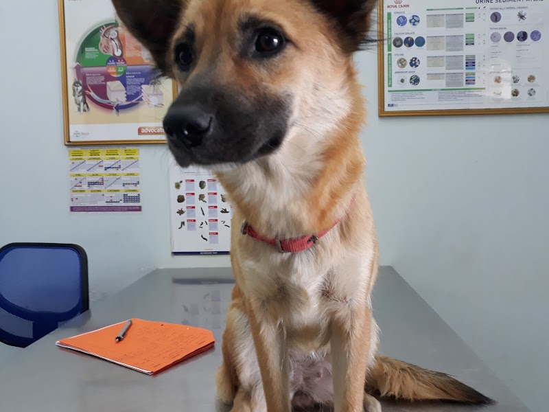 Century Animals Medical Center in Sabah