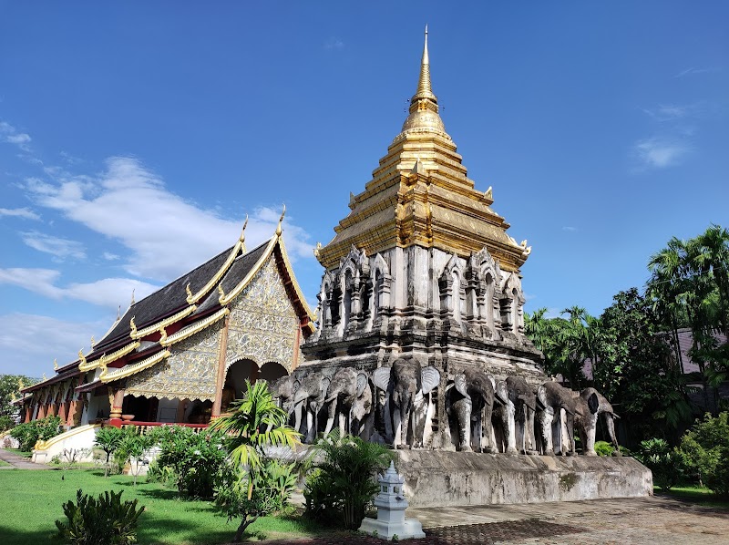 Elephant Parade Land in Chiang Mai