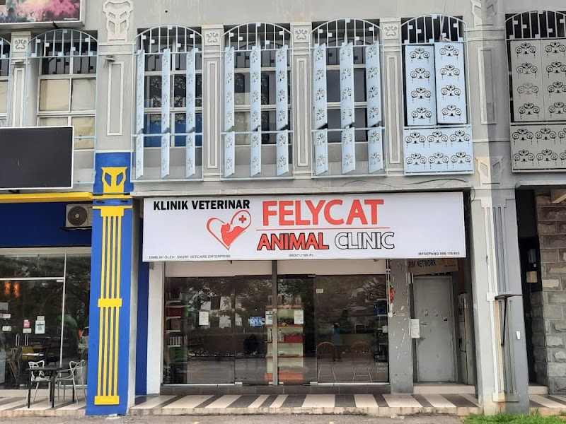 Felycat Animal Clinic in Cyberjaya