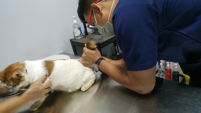 Gasing Veterinary Hospital in Petaling Jaya