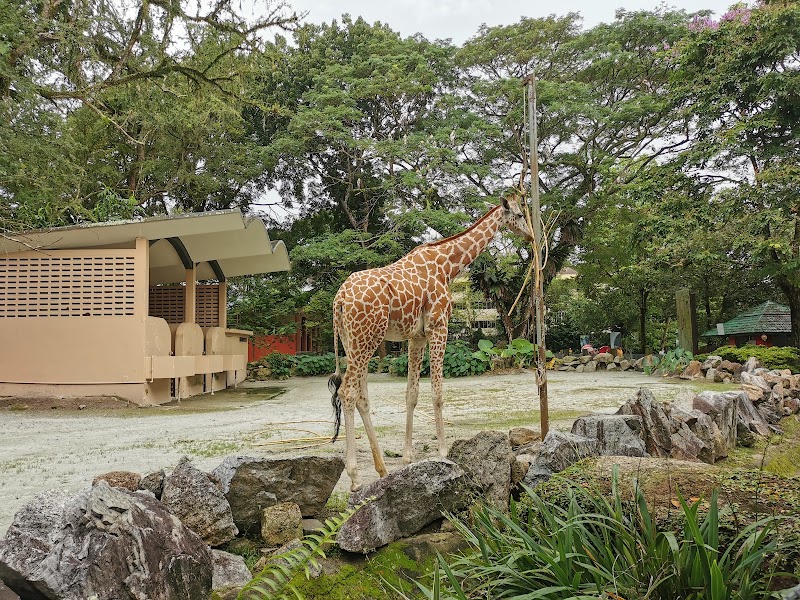 National Zoo of Malaysia in Kota Kemuning