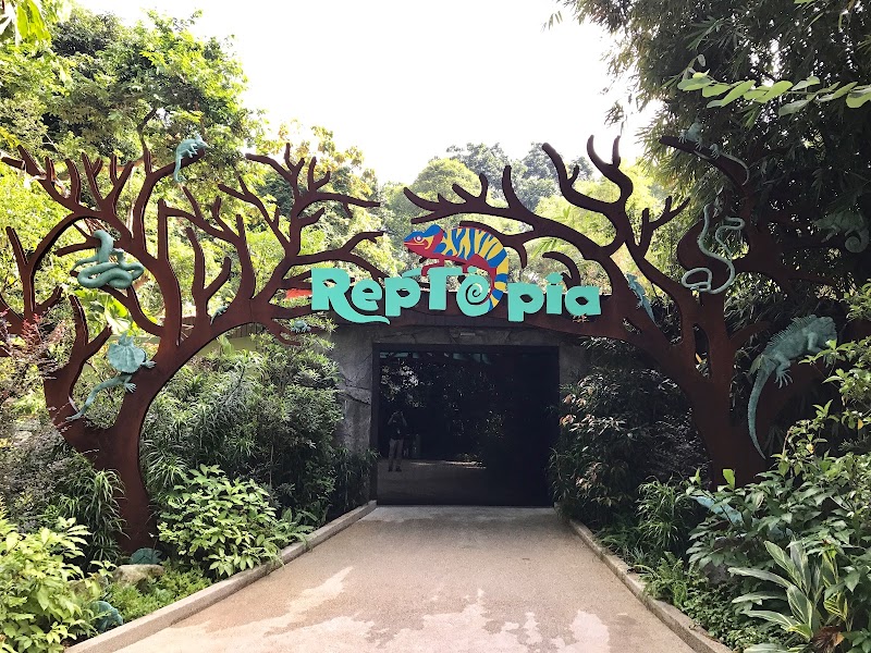 Reptopia in Tampines