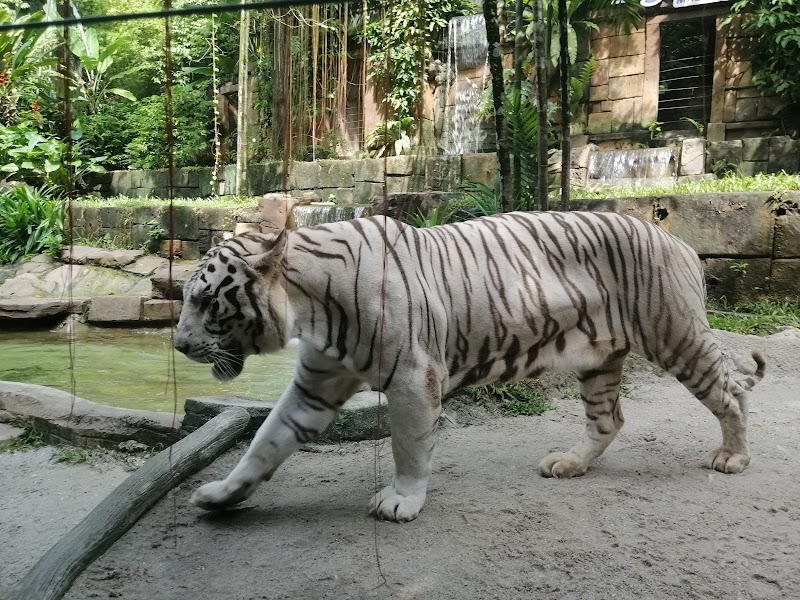 Sunway Lagoon in Subang Jaya