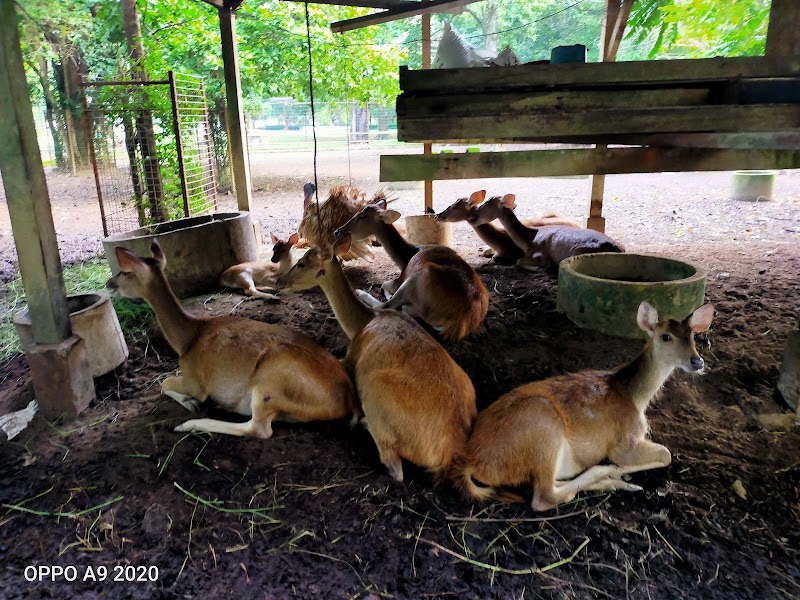 Taman Perbandaran Tengku Anis in Kota Bharu