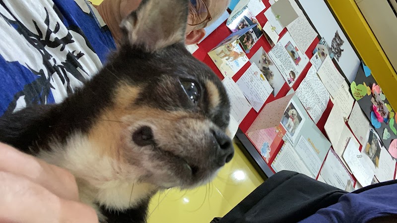 West Coast Vetcare in Jurong West