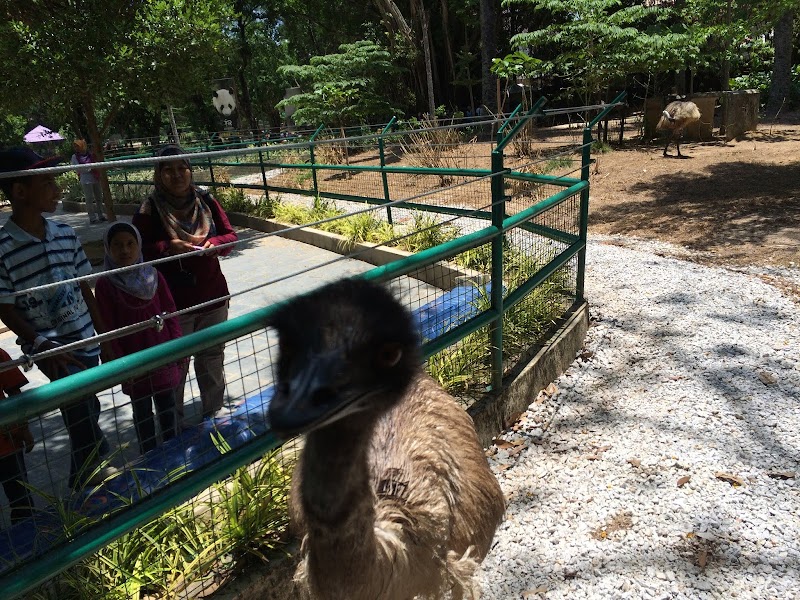 Zoo Negara Ape Centre in Wangsa Maju