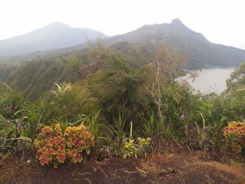 Batur Hiking in Bali