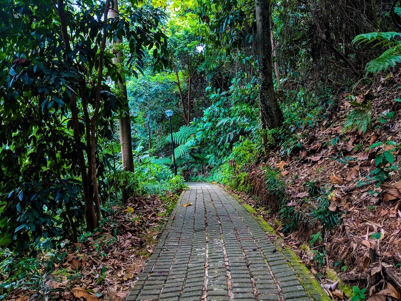 Chestnut Nature Park in Singapore