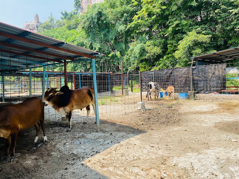 Pavilion Petting Zoo in Ipoh