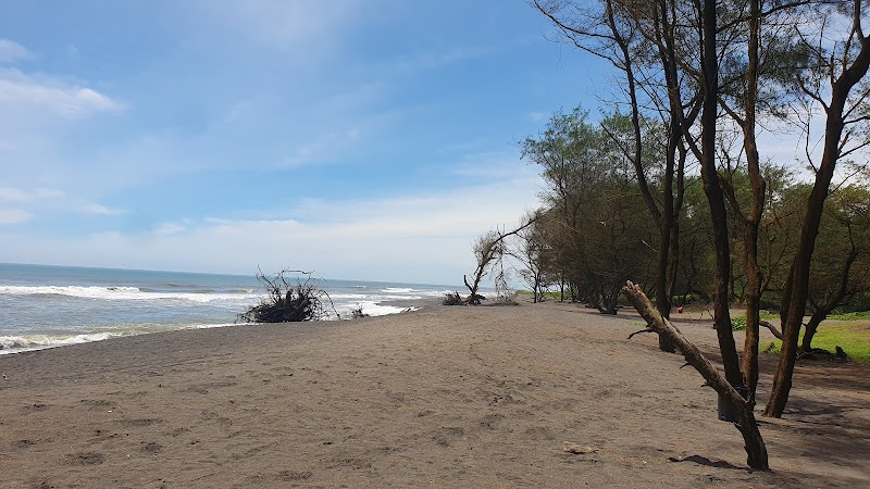 Pok Tunggal Beach in Yogyakarta