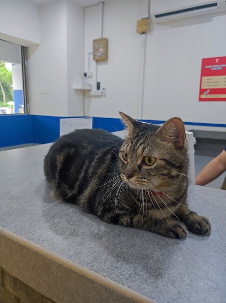 Caring Veterinary Centre in Kota Kemuning