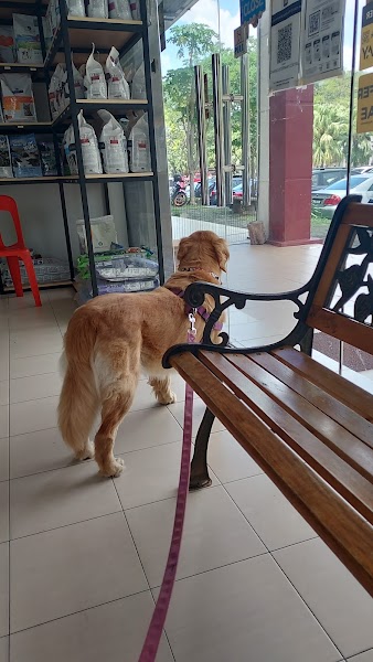 Caring Veterinary Centre in Kota Kemuning