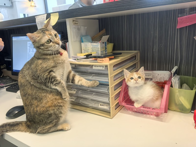 Catnest Veterinary Clinic (Wangsa Maju) in Wangsa Maju