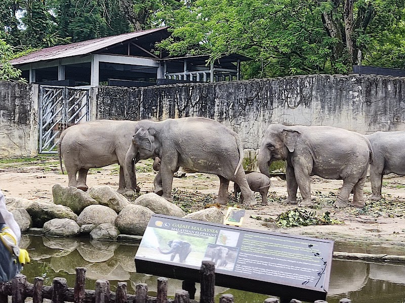 Friendship Park in Bayan Lepas