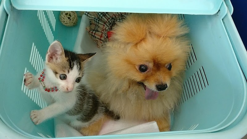 Grace Veterinary Centre Relau Branch in Bayan Lepas