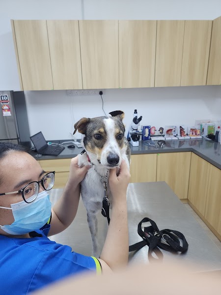 Grace Veterinary Centre Relau Branch in Bayan Lepas