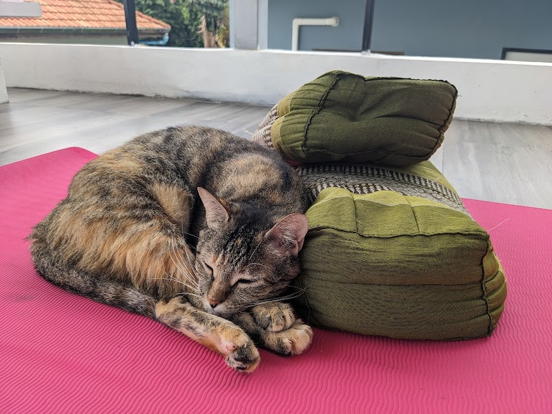 InDepth Yoga Academy in Phuket