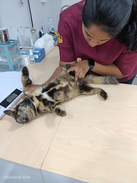 Nami Veterinary Clinic in Dengkil