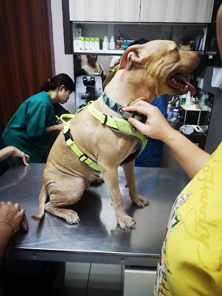 Small Animal Quarantine Station (Veterinary) , Pujut, Miri in Miri
